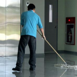 Normativa per la disinfestazione e derattizzazione