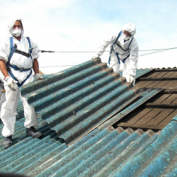 Una questione ambientale: un problema globale