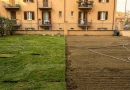 Confronto tra prato in zolle e area appena seminata in un cortile residenziale a Milano