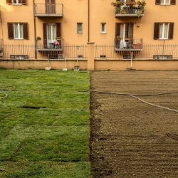 Confronto tra prato in zolle e area appena seminata in un cortile residenziale a Milano